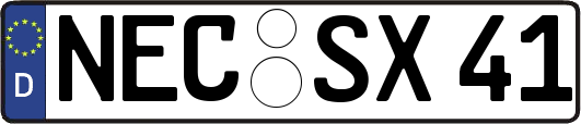 NEC-SX41