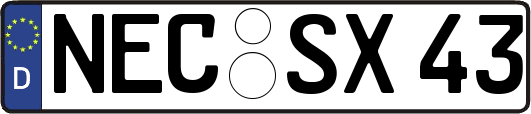 NEC-SX43