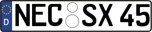 NEC-SX45