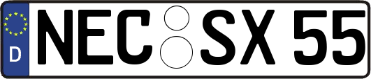 NEC-SX55