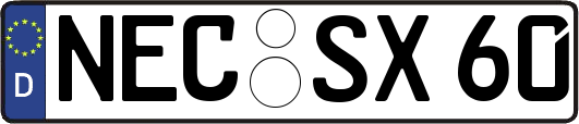 NEC-SX60