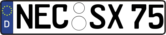 NEC-SX75