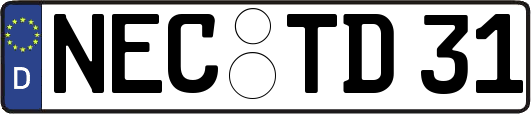 NEC-TD31