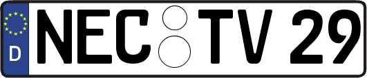 NEC-TV29