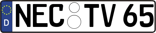 NEC-TV65