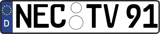 NEC-TV91
