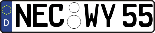 NEC-WY55