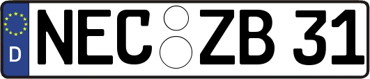 NEC-ZB31