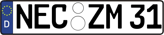 NEC-ZM31