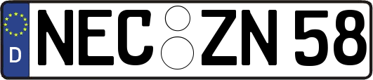 NEC-ZN58