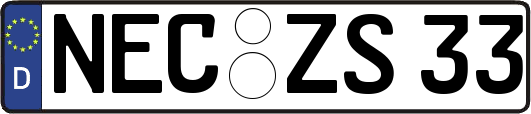 NEC-ZS33
