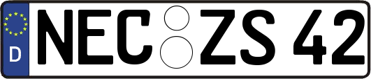 NEC-ZS42