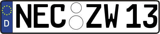 NEC-ZW13