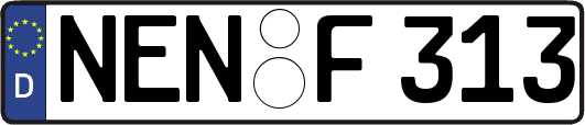 NEN-F313