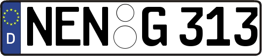 NEN-G313