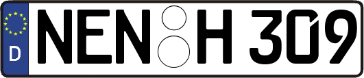 NEN-H309
