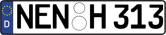 NEN-H313