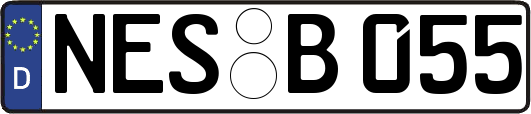 NES-B055