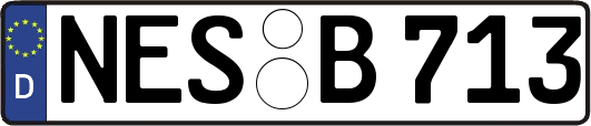 NES-B713