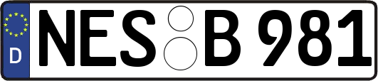 NES-B981