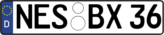 NES-BX36