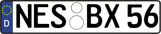 NES-BX56