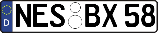 NES-BX58