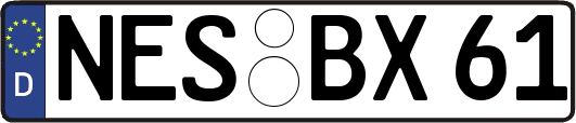NES-BX61