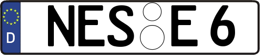 NES-E6
