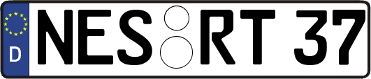 NES-RT37