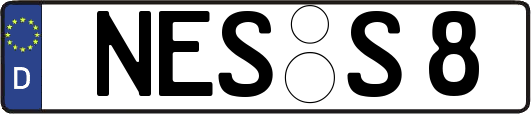NES-S8