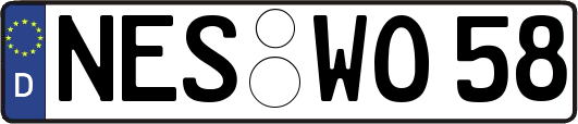 NES-WO58