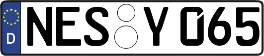 NES-Y065