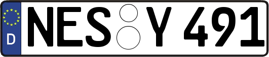 NES-Y491