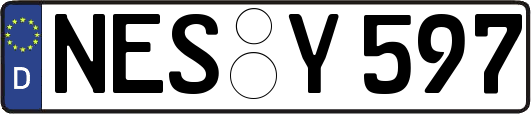 NES-Y597