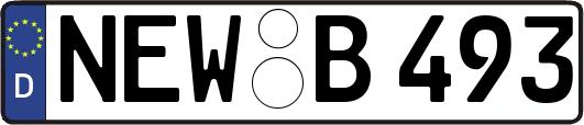 NEW-B493