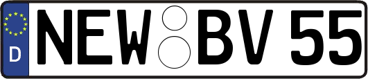 NEW-BV55