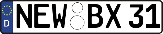 NEW-BX31