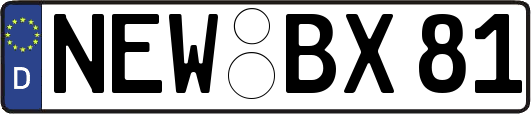 NEW-BX81