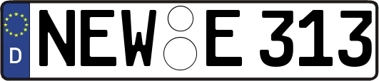 NEW-E313