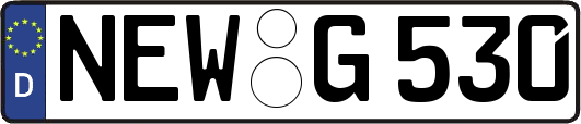 NEW-G530