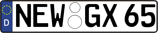 NEW-GX65