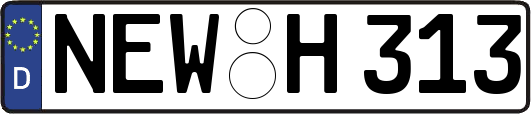 NEW-H313
