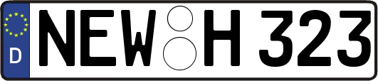 NEW-H323