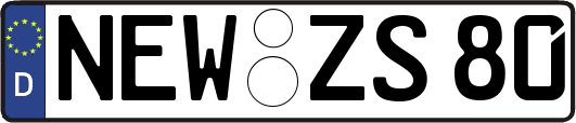 NEW-ZS80