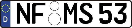 NF-MS53