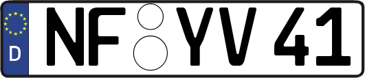 NF-YV41