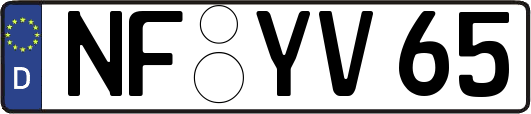 NF-YV65