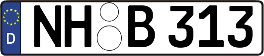 NH-B313