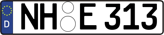 NH-E313